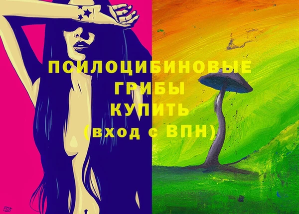 МДПВ Горняк