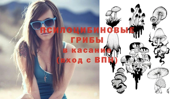 гидра Гусь-Хрустальный