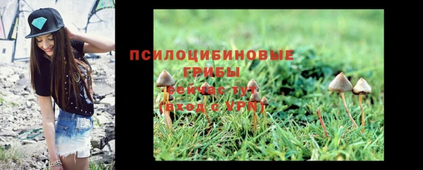 дмт Горно-Алтайск