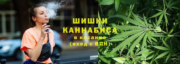 гидра Гусь-Хрустальный