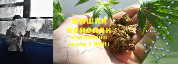 гидра Гусь-Хрустальный